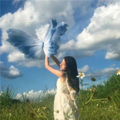 2024青春芒果节